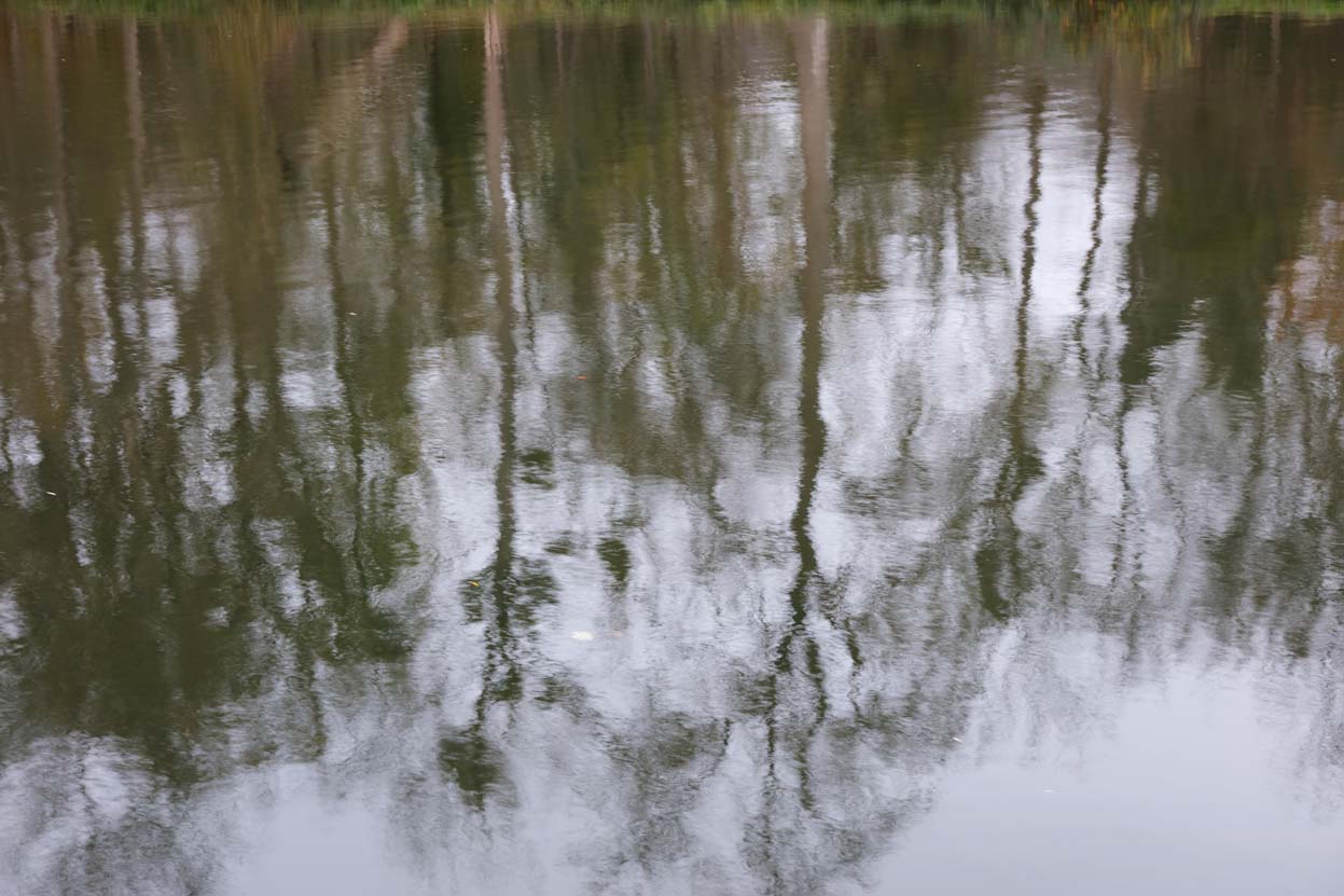 Calligrammi Arbusti