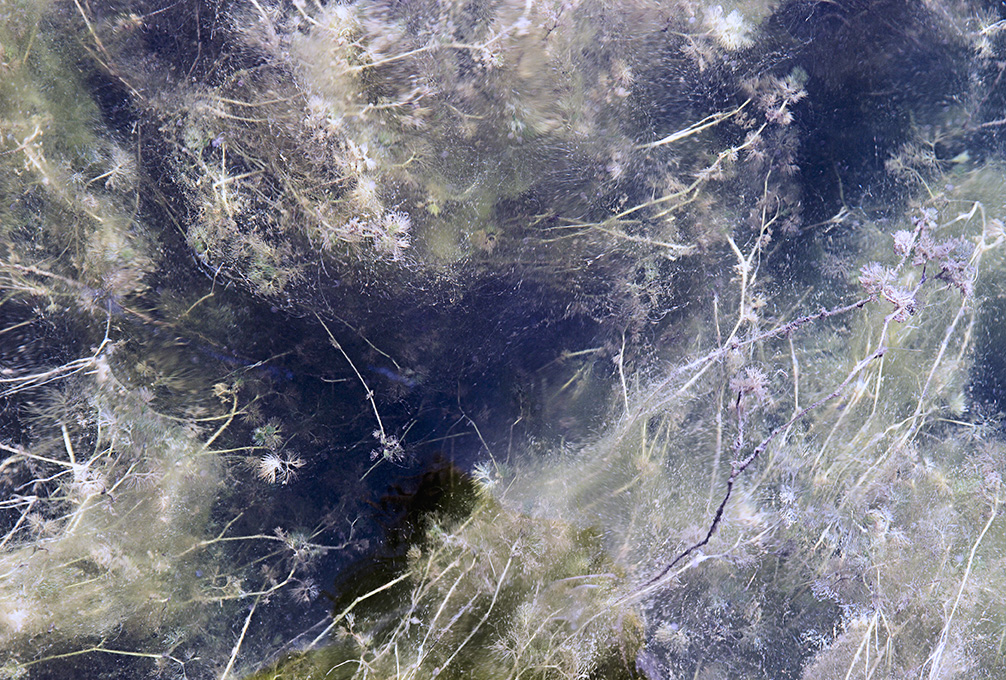 Fragile (10)
