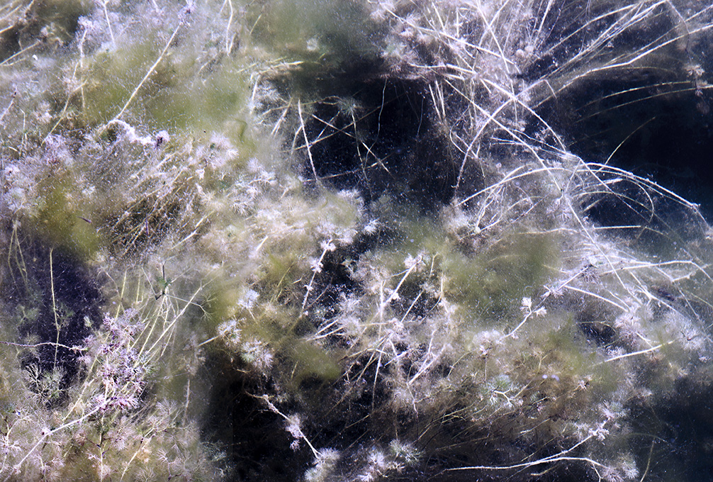 Fragile (11)