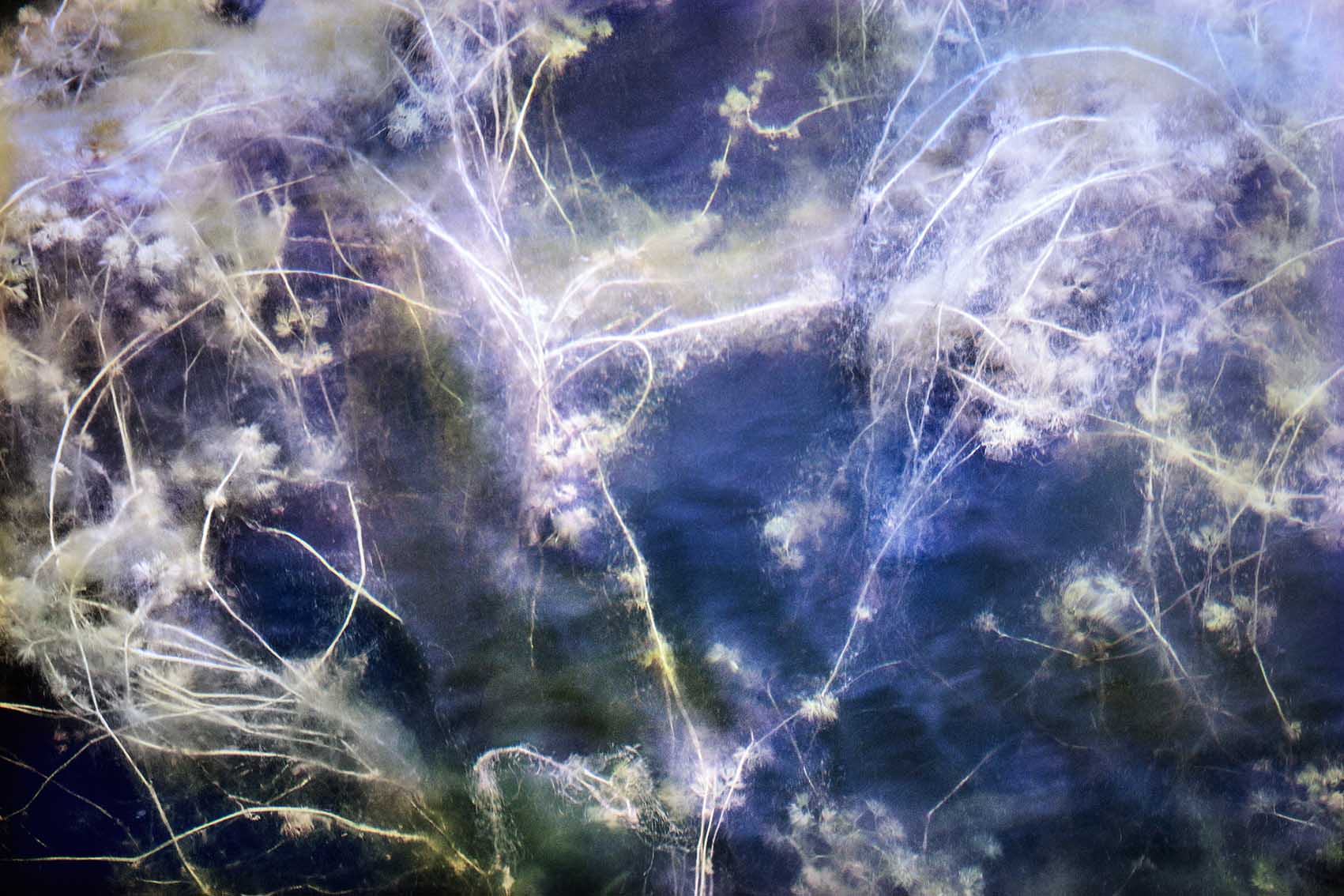 Fragile (12)