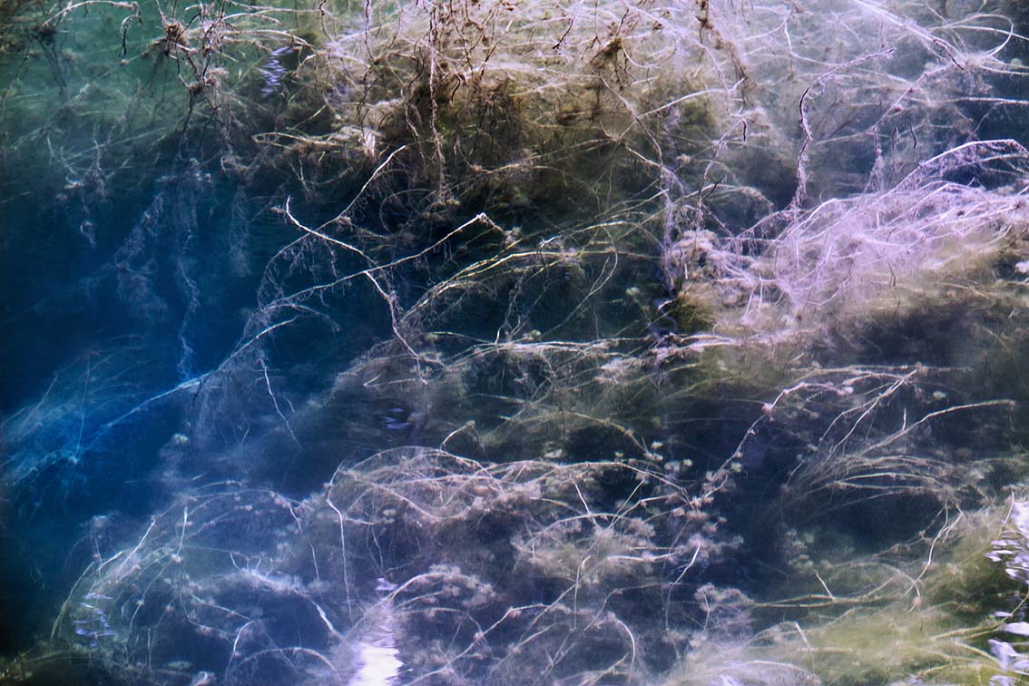 Fragile (15)