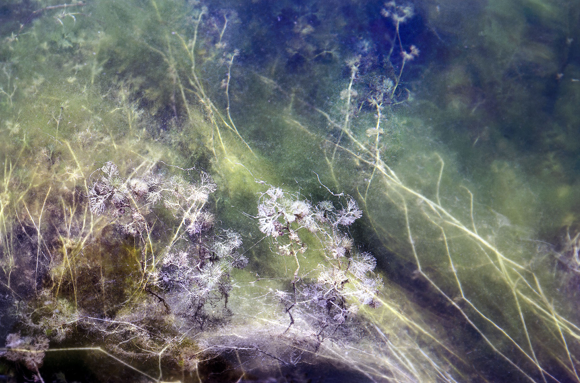 Fragile (1)