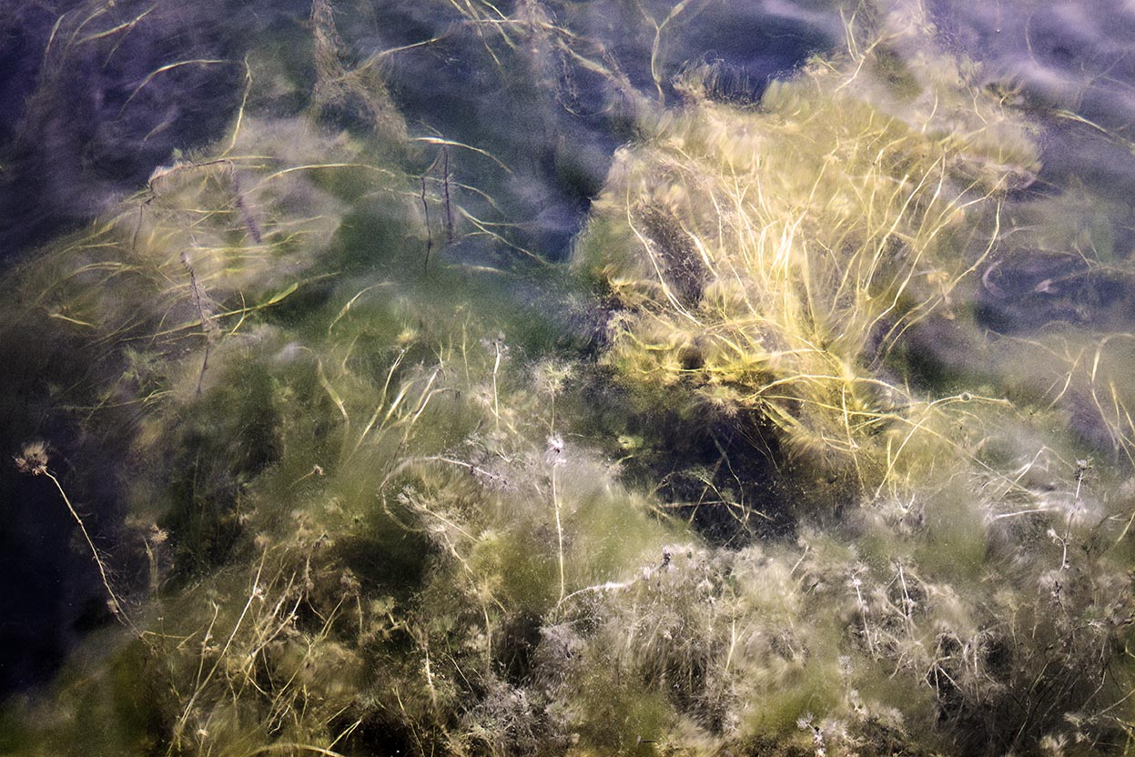 Fragile (2)
