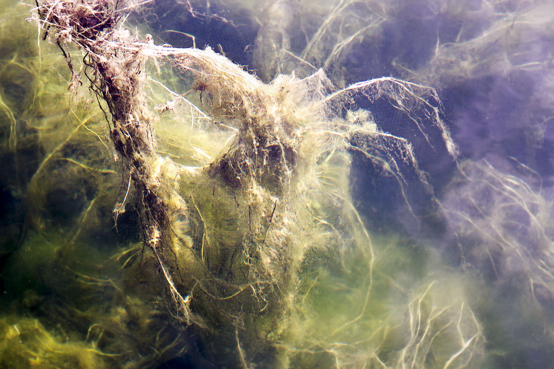 Fragile (4)