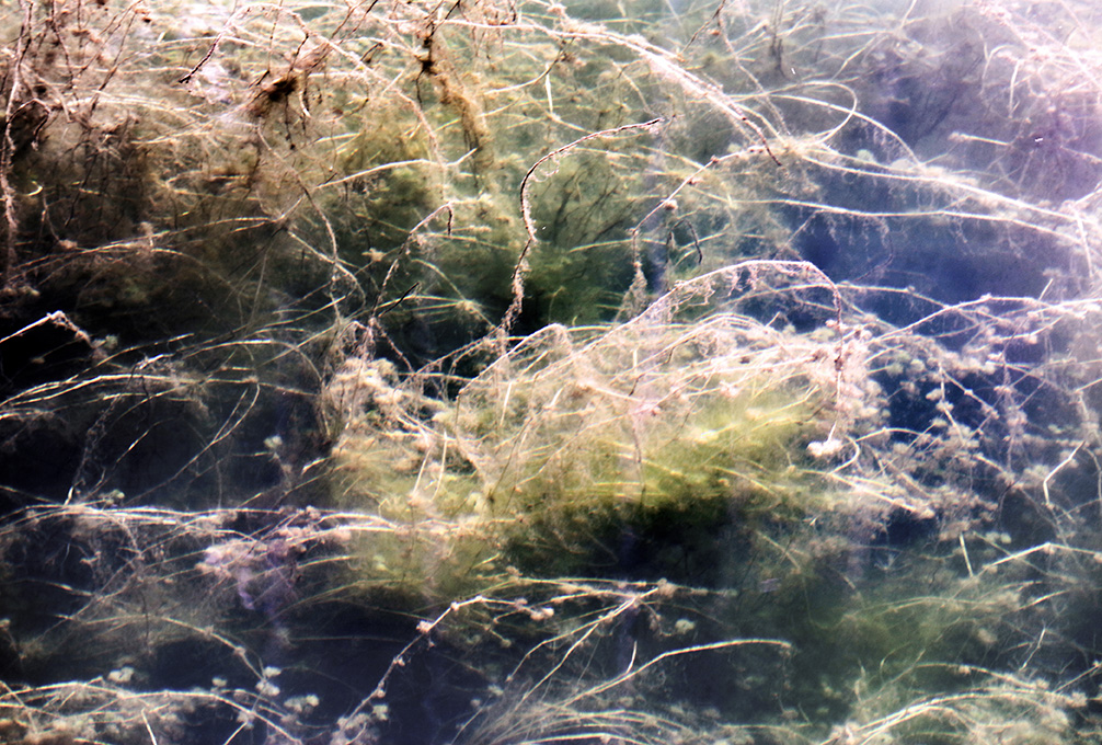 Fragile (6)
