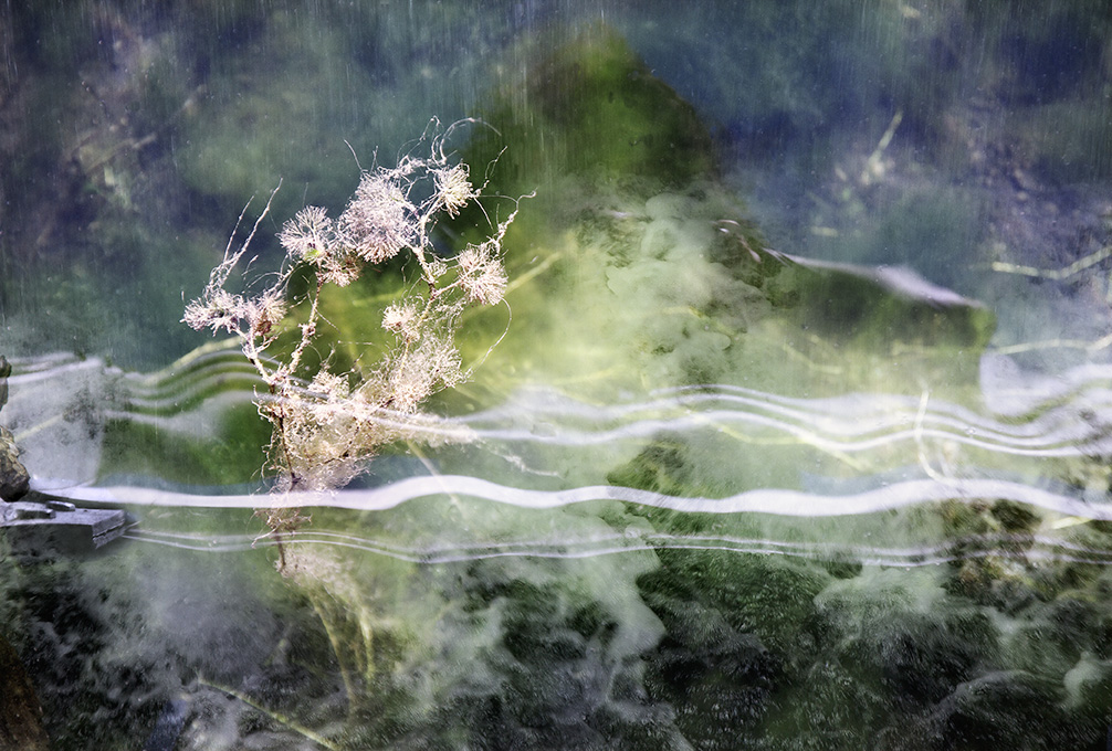 Fragile (7)
