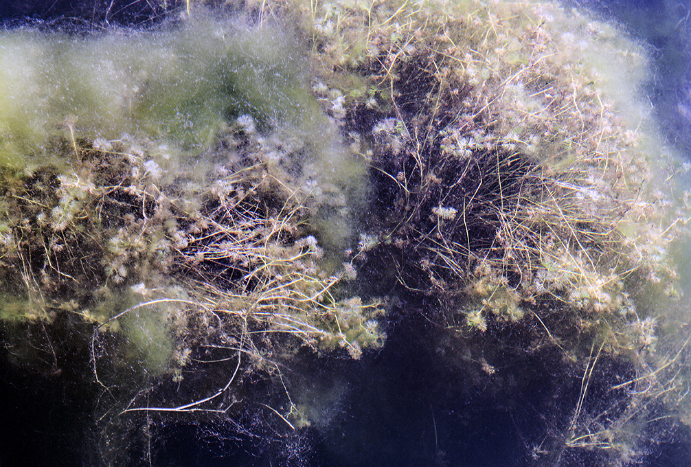 Fragile (9)